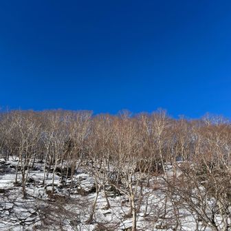 空が青いな〜😀