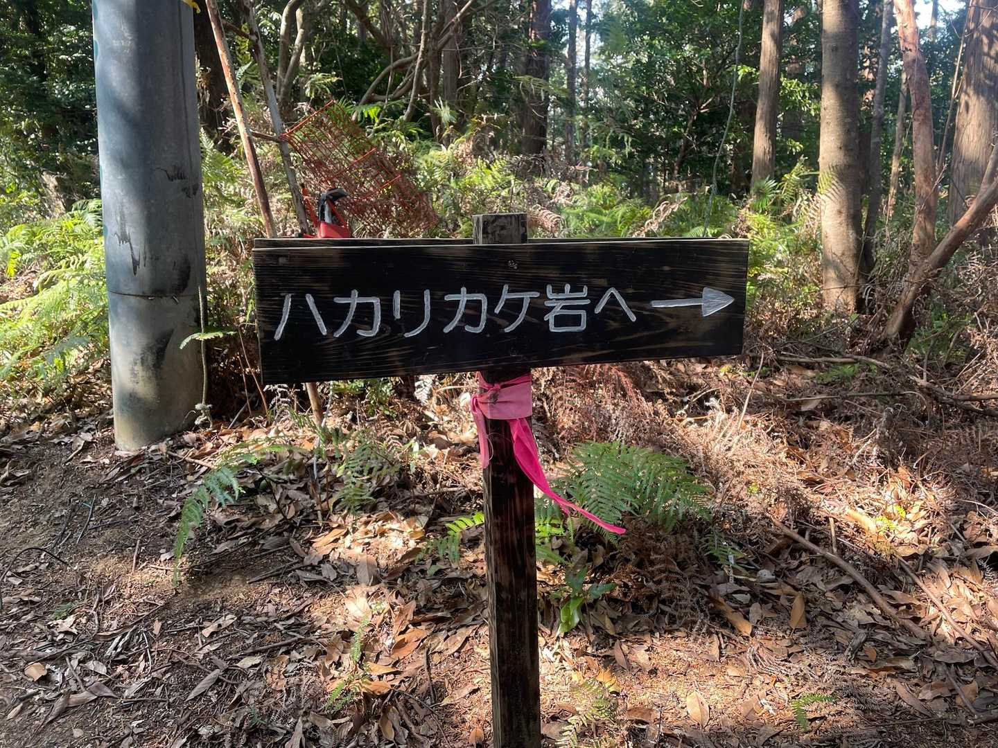 ハカリカケ❓
