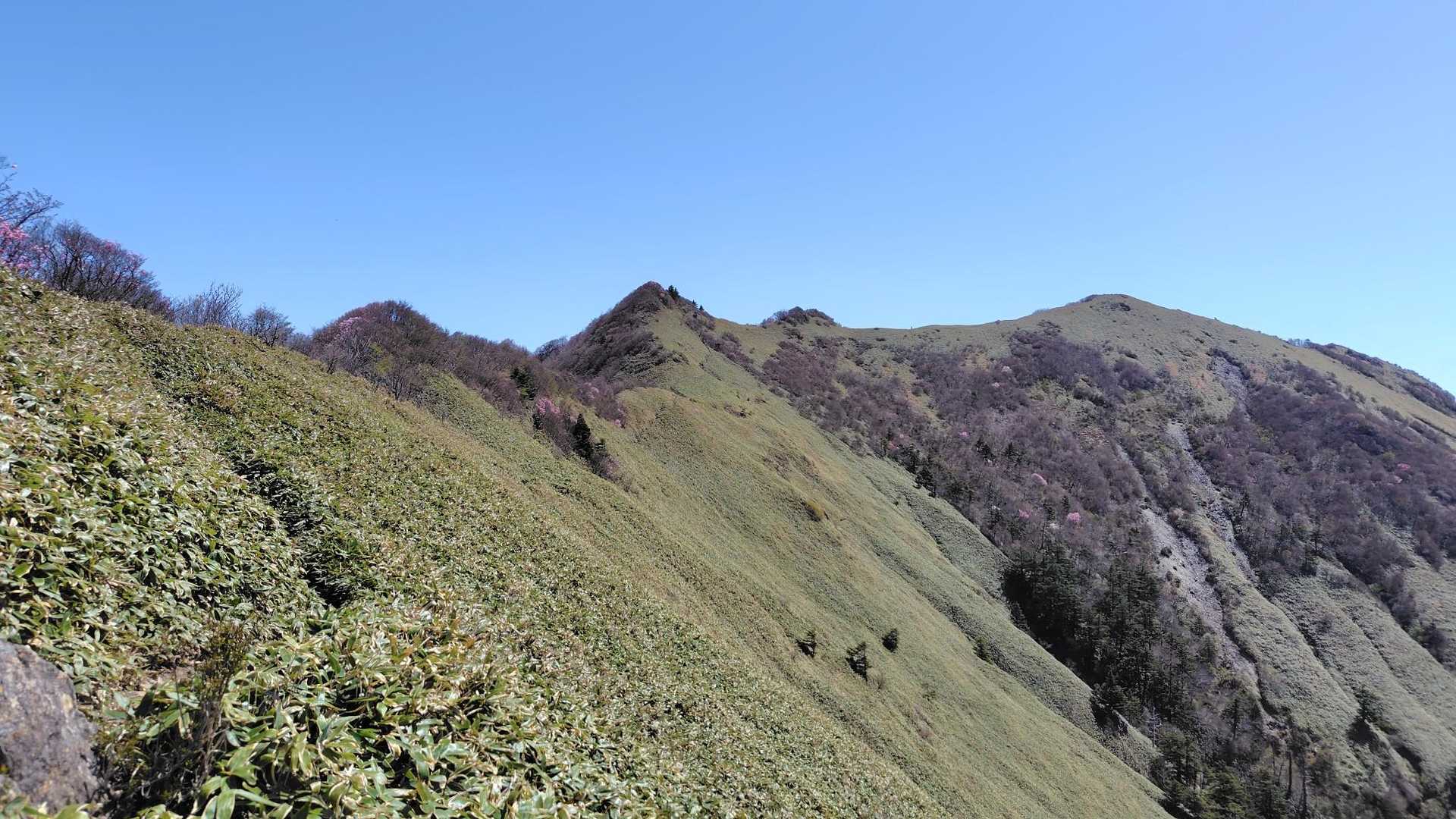 東黒森登山口-伊予富士-東黒森-自念子ノ頭 周回コースの写真