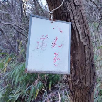 おー、久々にへんろ道の看板が⬆️