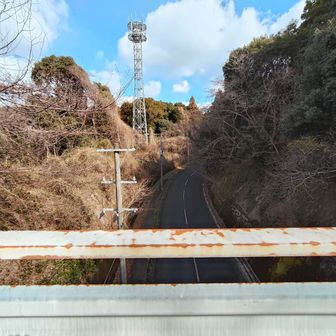 出発点の立体橋まで、戻って来ました。