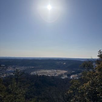 晴天☀️巾着田がきれい