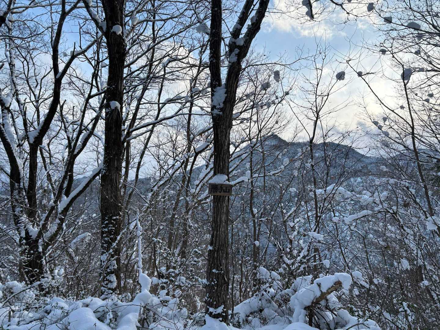 勝手山到着🏔️