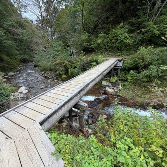 これを渡れば、ほぼ下山