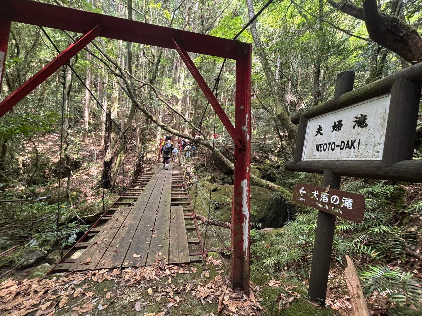 百間山 周回コースの写真