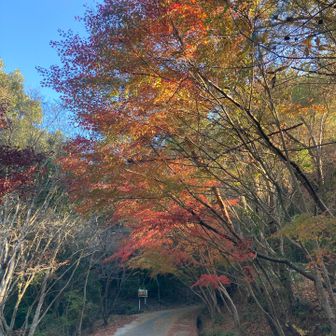 さて、頑張りますか。