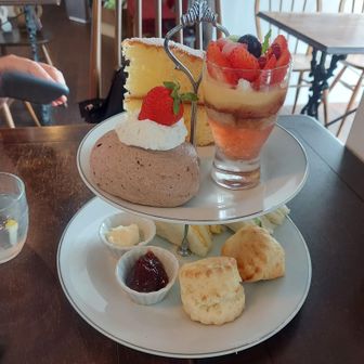 ナマケモノ(水野由香)