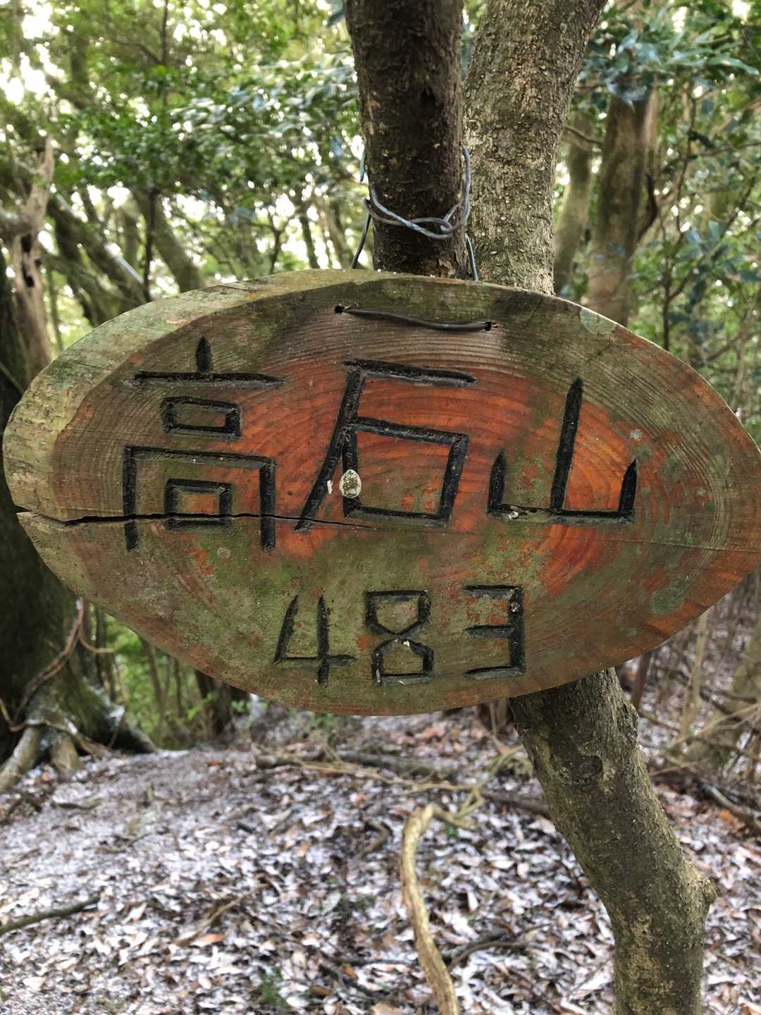 高石山山頂です⛰
年季があるカンバン🪧✨
