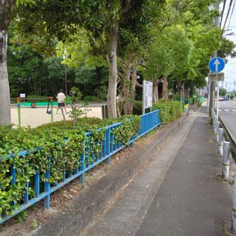 子どもたちが元気に遊んでいた