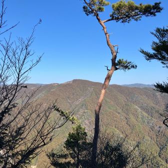 小竜頭からの展望