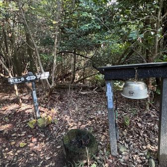 二発、鳴らしときました🔔🔔