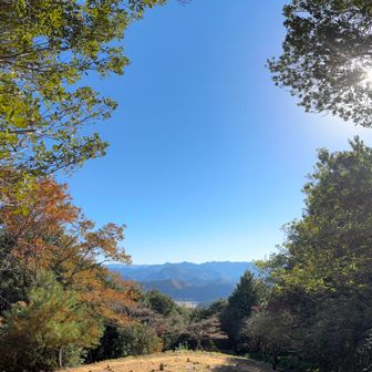 広々とした見晴台