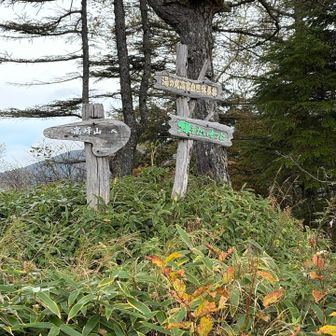 登山口間違えて
登らない予定の高峰山で
アップしました😂
