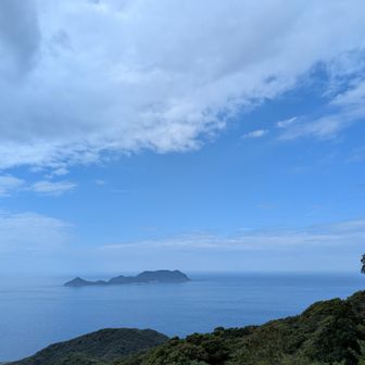 もっと抜けろー💙