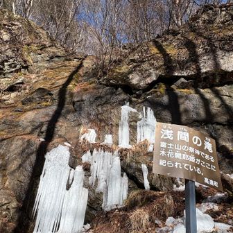 浅間の滝
到着👏✨
まだ育ってないな
🥲