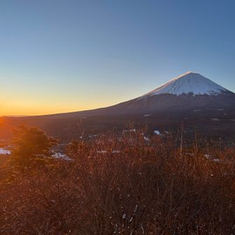 最高の天気☀️