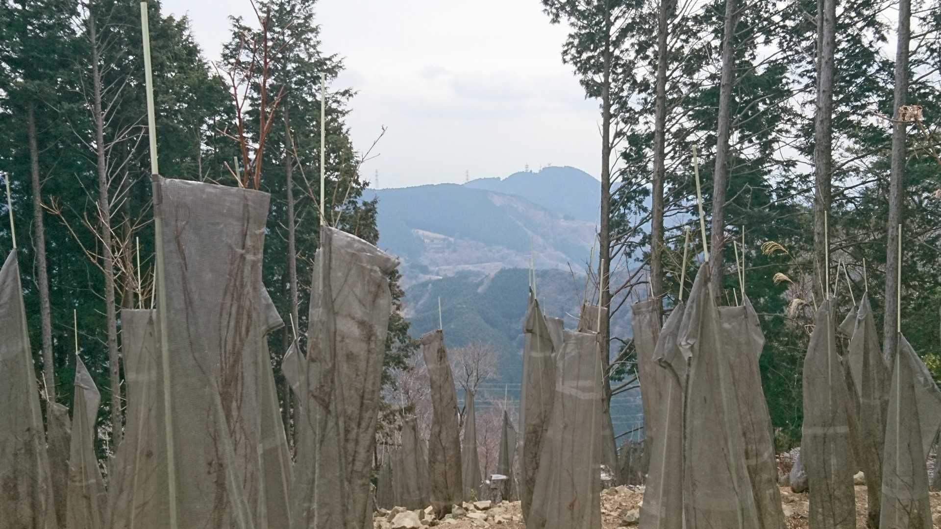 反射板下眺望、粟ヶ岳？
