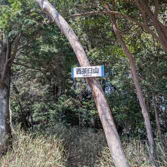 はじめまして
西茶臼山