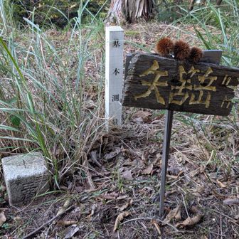 矢筈岳三等点。