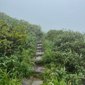 登るでー