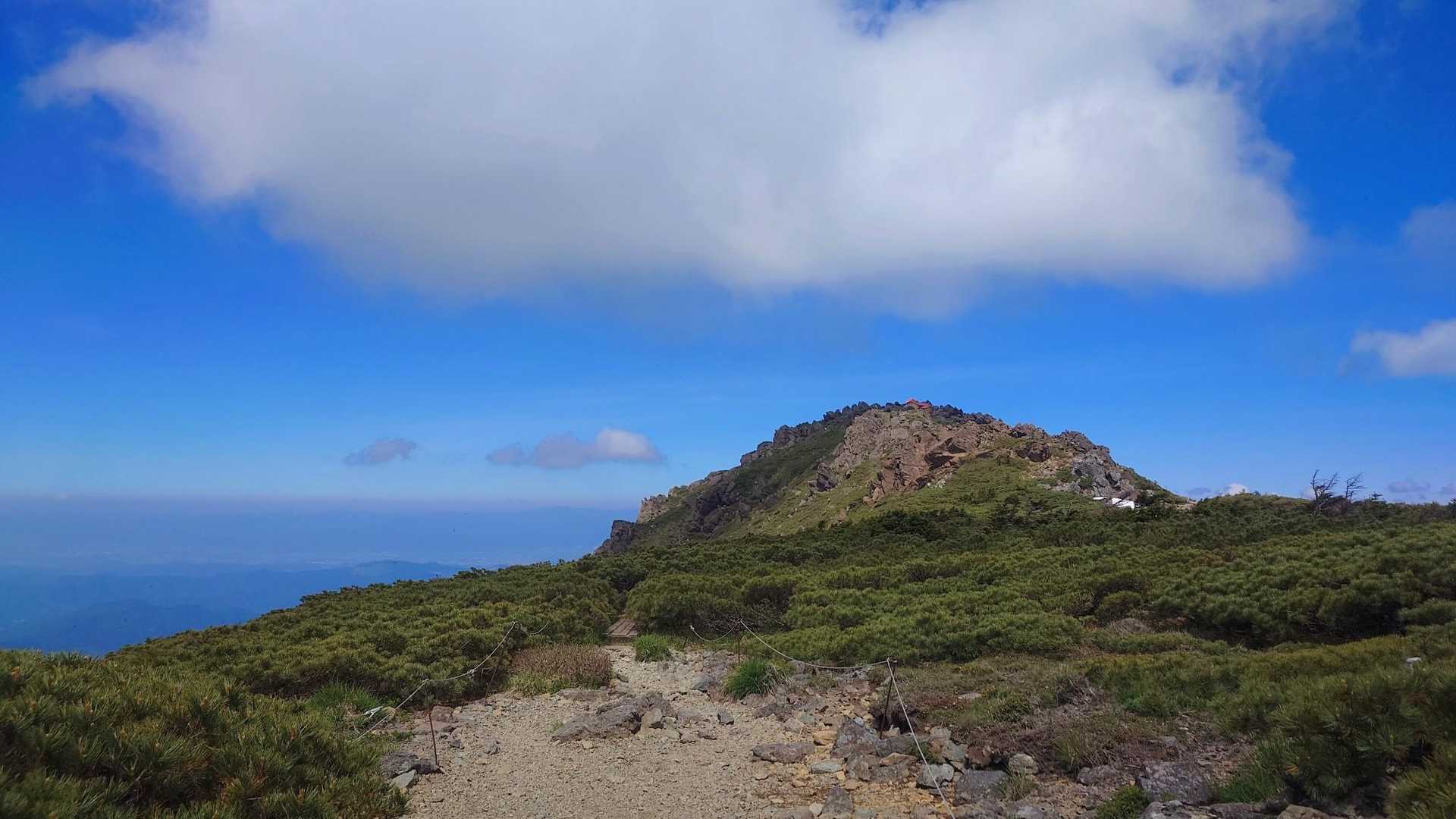 9:10  稜線に出ました。
あと20分ほどで山頂です。