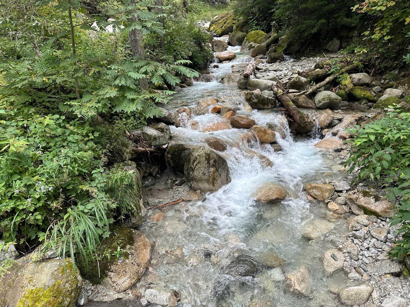 北アルプス裏銀座登山口-前烏帽子岳-烏帽子岳-野口五郎岳- 周回コースの写真