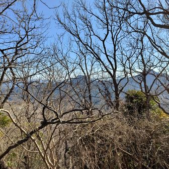 歩いてきた山が一望できた