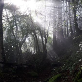 雲と光で良い感じ