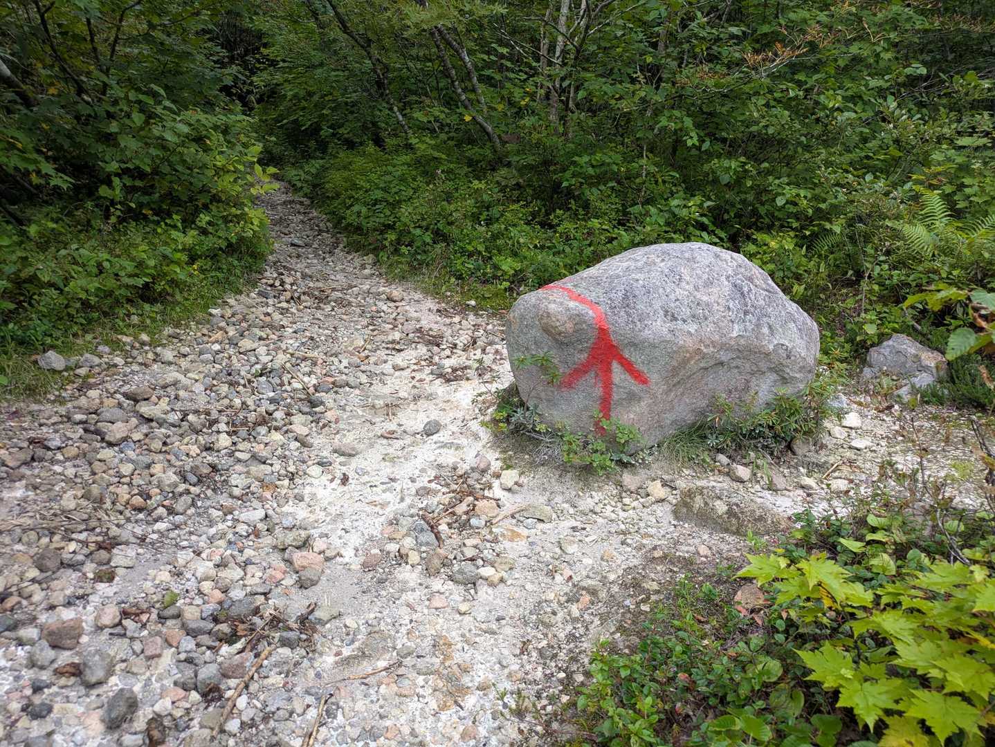 ピンテ、矢印が沢山ありました。