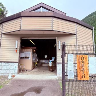 ここから螺旋🌀階段を降りて、魚道を目の当たりにする