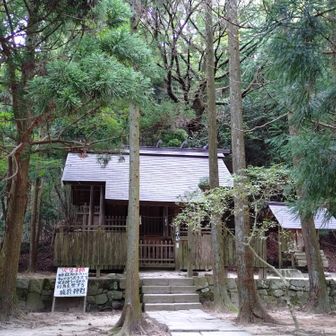 東の宮の本殿に一礼しておきます🙏