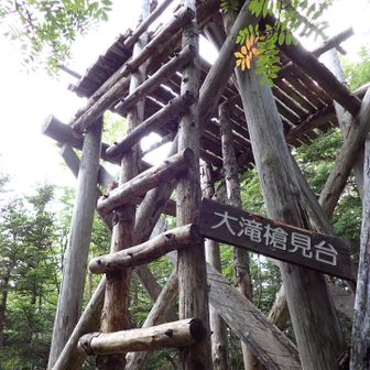 このハシゴの釘が取れそうで怖かった💦