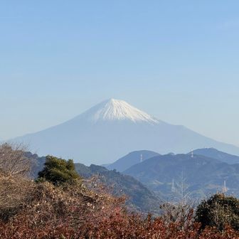 富士山も綺麗に😍