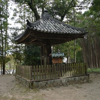 傘堂