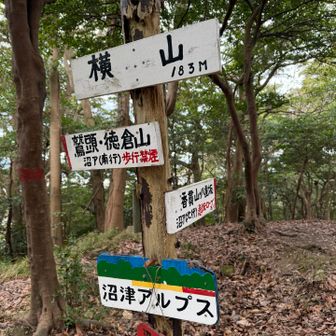 横山まで到着。183mまで登るのにほんと苦労