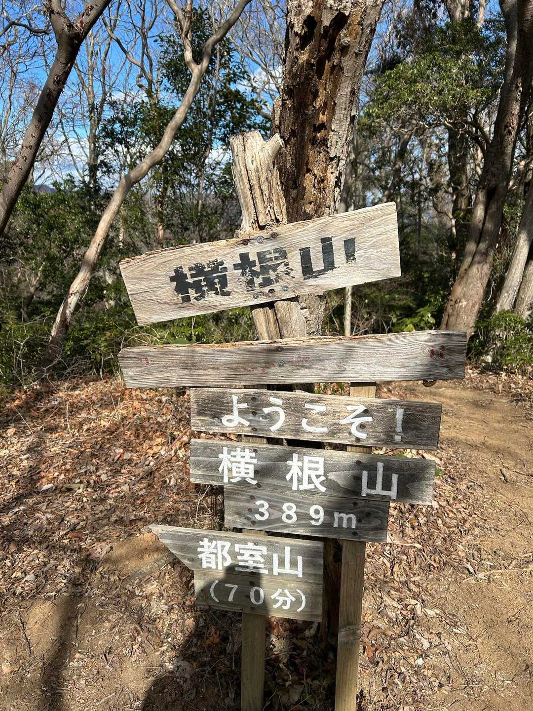 到着