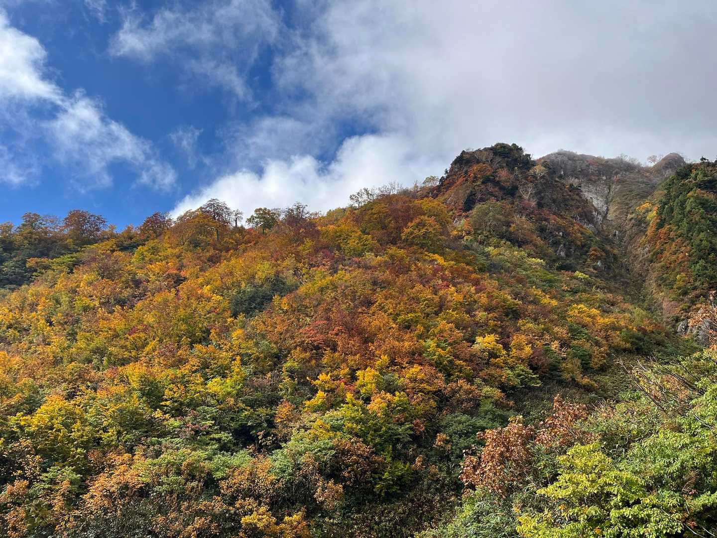 雨飾山 往復 | 急登を越え圧巻の迫力の岩峰群と稜線上の楽園を愛でるの写真