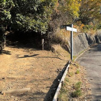 ここから登山道に行かないと
香貫山に行けませんので
左へ👈
（右は遠回りですが行けます）