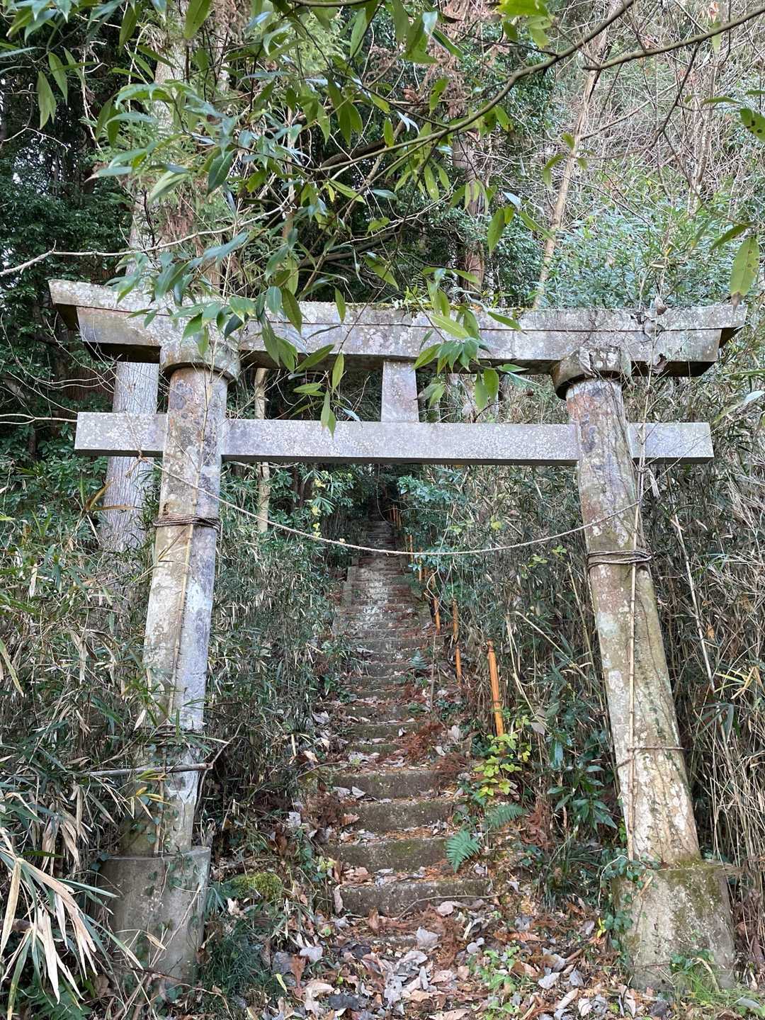 愛宕神社の鳥居⛩️がありました。この奥365段の階段が待ち受けていました