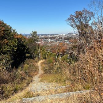 次の山へ歩みを進めます
