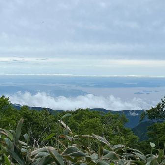 行きより瀬戸内海がよく観えた