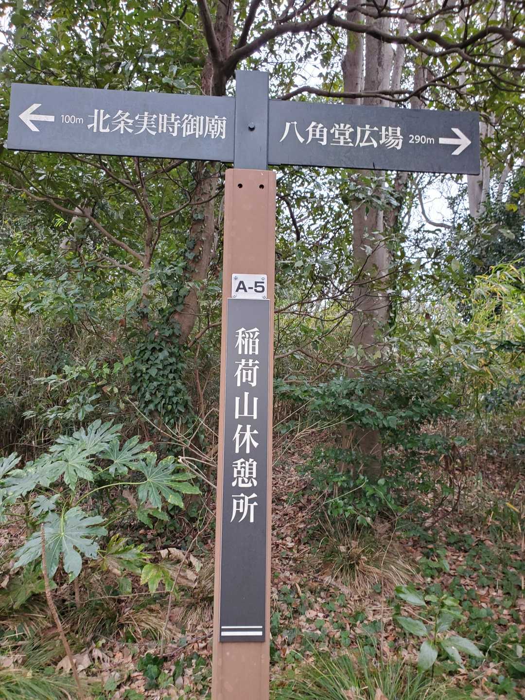 日向山から2分も歩けば２つ目の山マークの稲荷山に到着(笑)

過去一楽な2座目だ(笑)