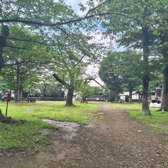 生田緑地に戻って来ました。

今日は良い公園を発見しました。
ここはまた是非訪れてみたいと思います😊
