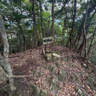 次いでに蛇焼山
相方🐍嫌がりそうな名前