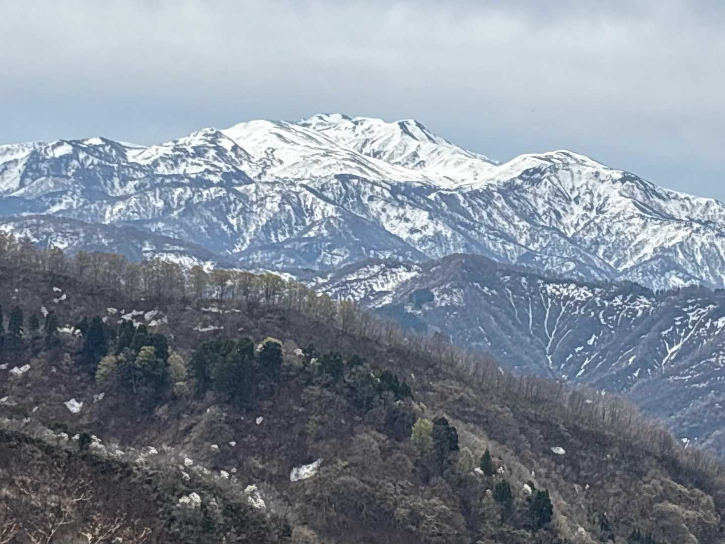 鉢伏山からの白山😀
ここから大恐山(オンソリ)迄の尾根歩きは白山の見守りに元気をもらう😃