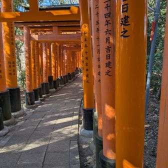 下りの千本鳥居