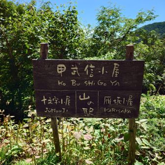 甲武信小屋に到着

ここまで歩いてきて、テーブルやベンチなどの休憩しやすい場所はありませんでした（甲武信ヶ岳の山頂にベンチが１つあっただけ）