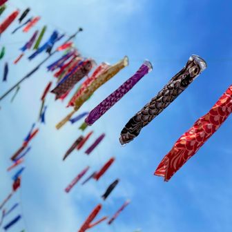 風がなくて、真昼の鯉のn夜干し状態