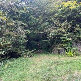 登山口