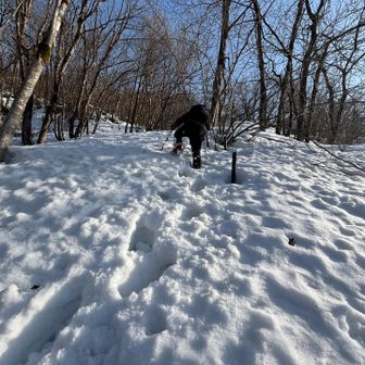 登ります。おとうラッセル頑張っております。
超低山だけどラッセルでありえん程汗かいてます笑